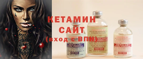 шишки Няндома
