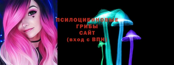 PSILOCYBIN Балабаново
