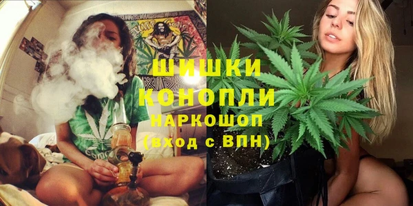 PSILOCYBIN Балабаново