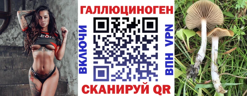 купить  сайты  Льгов  Галлюциногенные грибы мицелий 